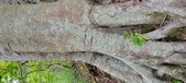 Enlarge photo 159