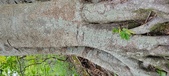 Enlarge photo 158