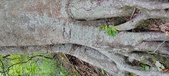 Enlarge photo 165