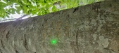 Enlarge photo 164