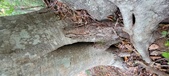Enlarge photo 169
