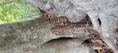 Enlarge photo 168