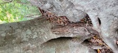 Enlarge photo 167
