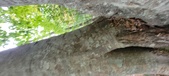 Enlarge photo 166