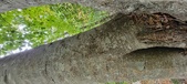Enlarge photo 173