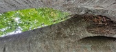Enlarge photo 172
