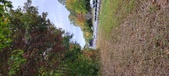 Enlarge photo 170