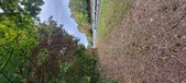Enlarge photo 177