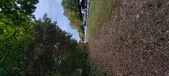 Enlarge photo 176