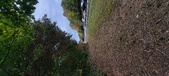 Enlarge photo 175