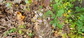 Enlarge photo 181