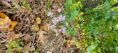 Enlarge photo 180