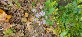 Enlarge photo 179