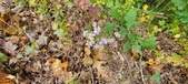 Enlarge photo 178