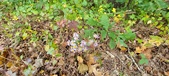 Enlarge photo 185