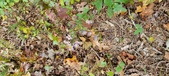 Enlarge photo 183