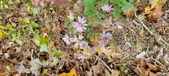 Enlarge photo 182