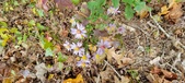 Enlarge photo 189