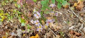 Enlarge photo 188