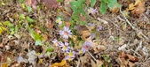 Enlarge photo 186