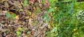 Enlarge photo 192