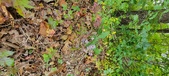 Enlarge photo 193