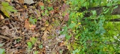 Enlarge photo 194