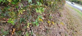 Enlarge photo 198