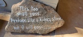 Enlarge photo 119