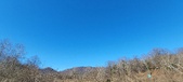 Enlarge photo 124