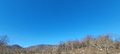 Enlarge photo 126