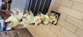 Enlarge photo 127