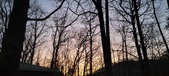 Enlarge photo 65