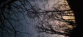 Enlarge photo 66