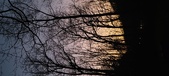 Enlarge photo 70