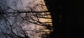 Enlarge photo 69