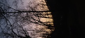 Enlarge photo 68
