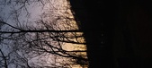 Enlarge photo 67