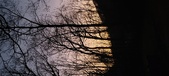 Enlarge photo 71