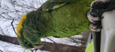Enlarge photo 83
