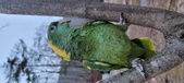 Enlarge photo 86
