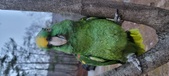 Enlarge photo 91