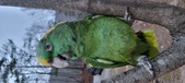 Enlarge photo 92