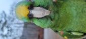 Enlarge photo 94