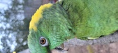 Enlarge photo 93