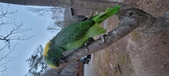 Enlarge photo 104