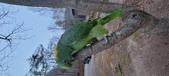 Enlarge photo 103
