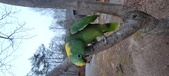 Enlarge photo 102