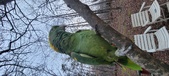 Enlarge photo 105