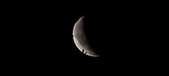 Enlarge photo 81